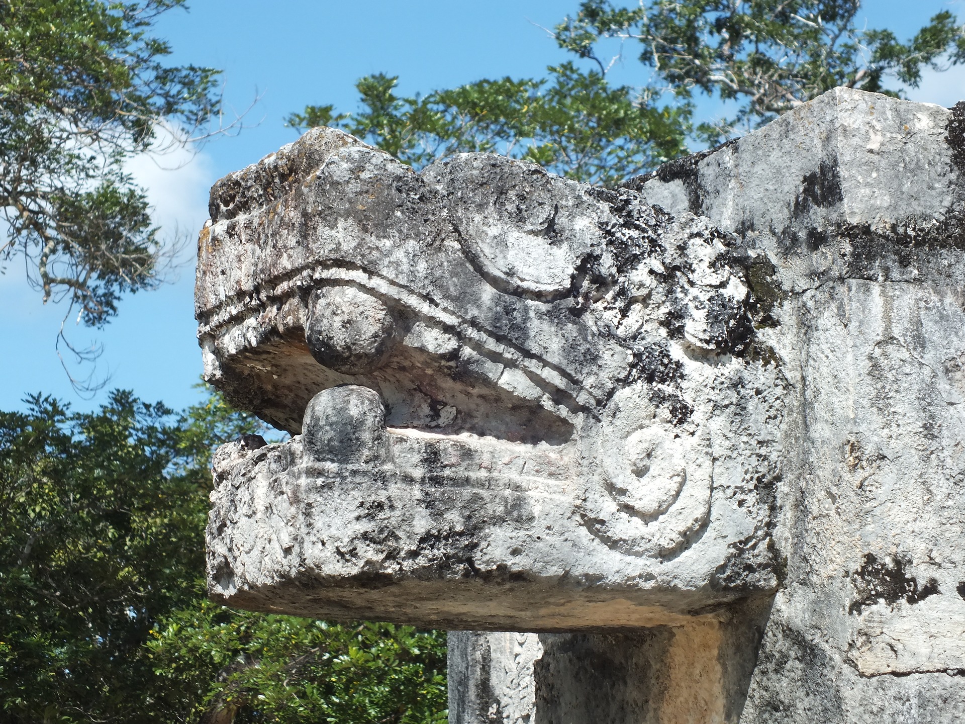 serpiente maya en mexico